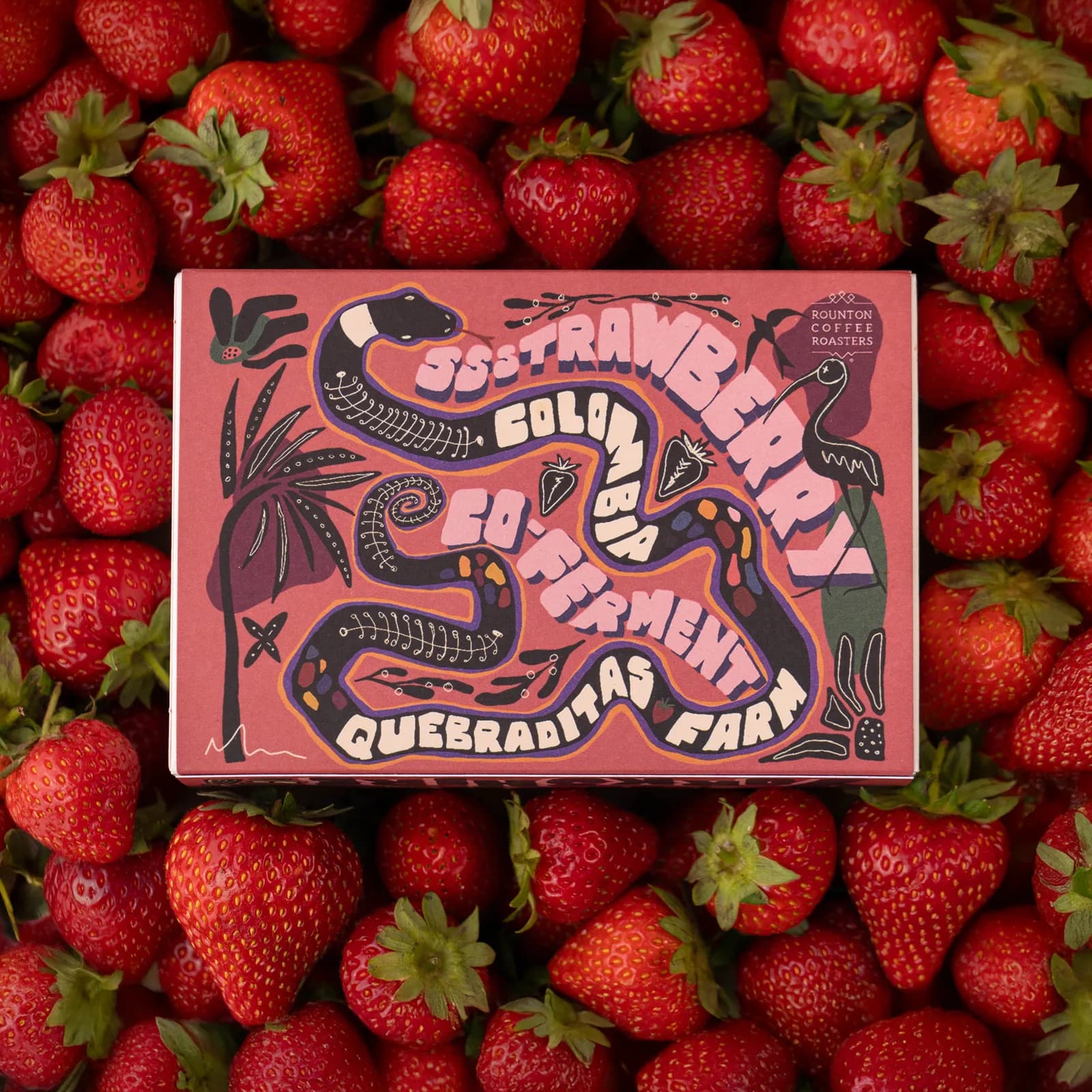 Strawberry Co-Ferment