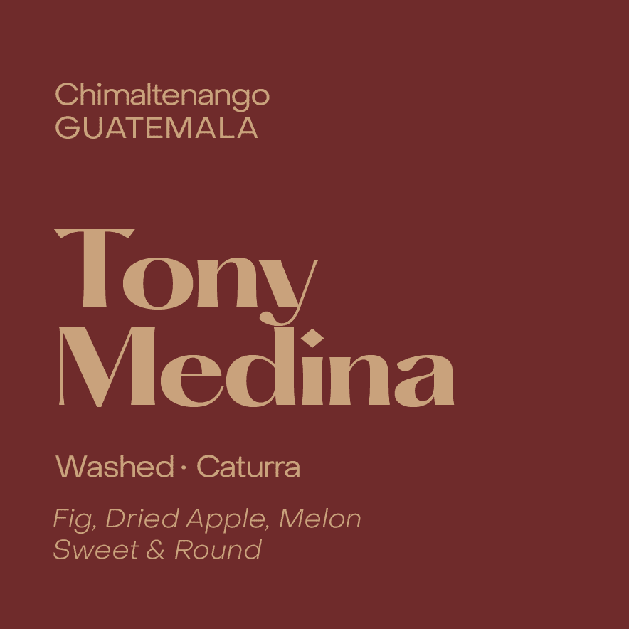 Tony Medina Espresso, Guatemala Washed Caturra