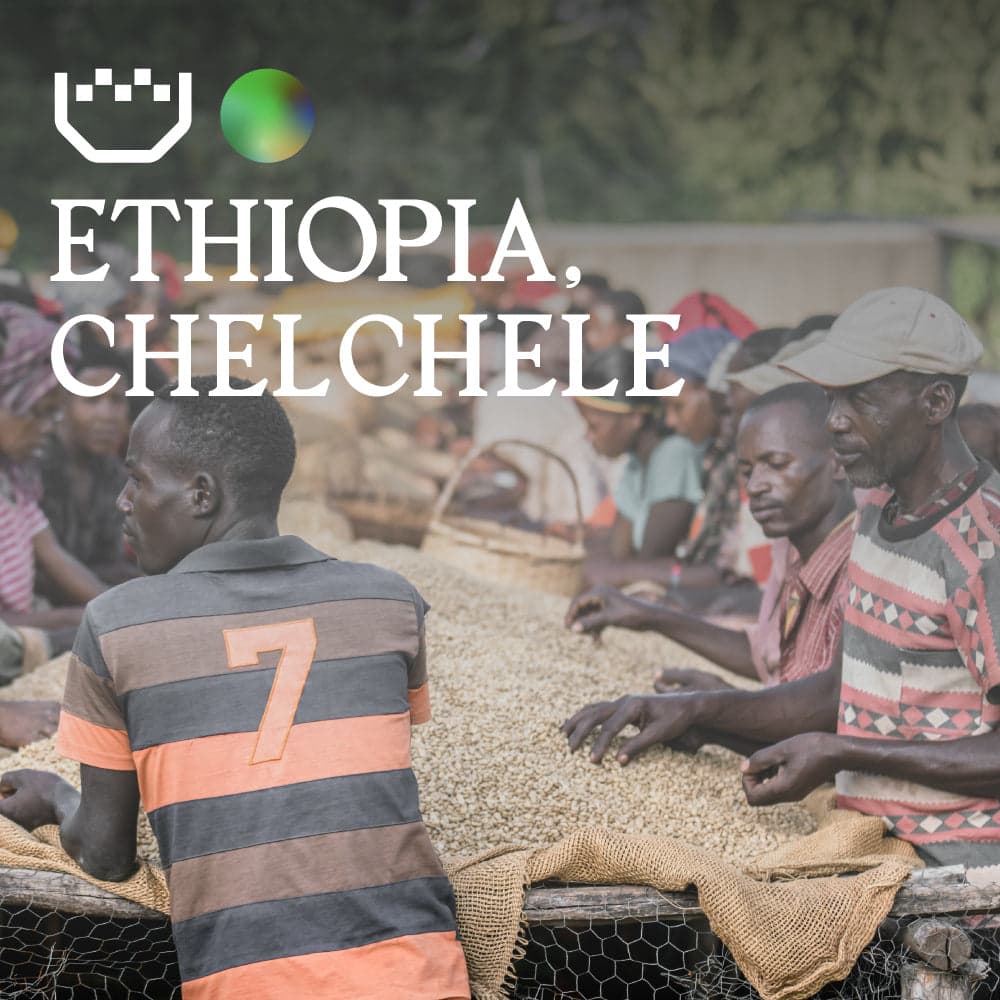 Ethiopia, Chelchele - Single Origin Espresso