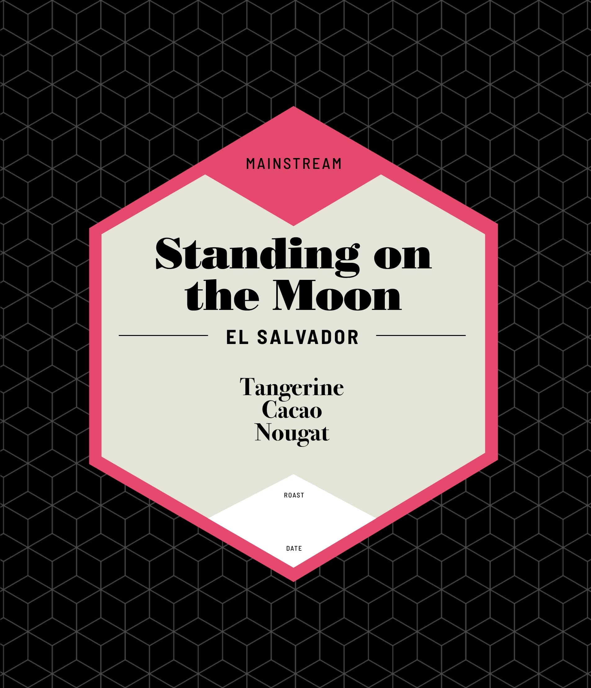 Standing on the Moon