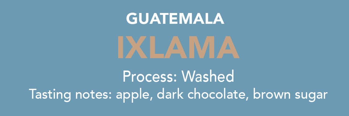 Dose - Guatemala Ixlama