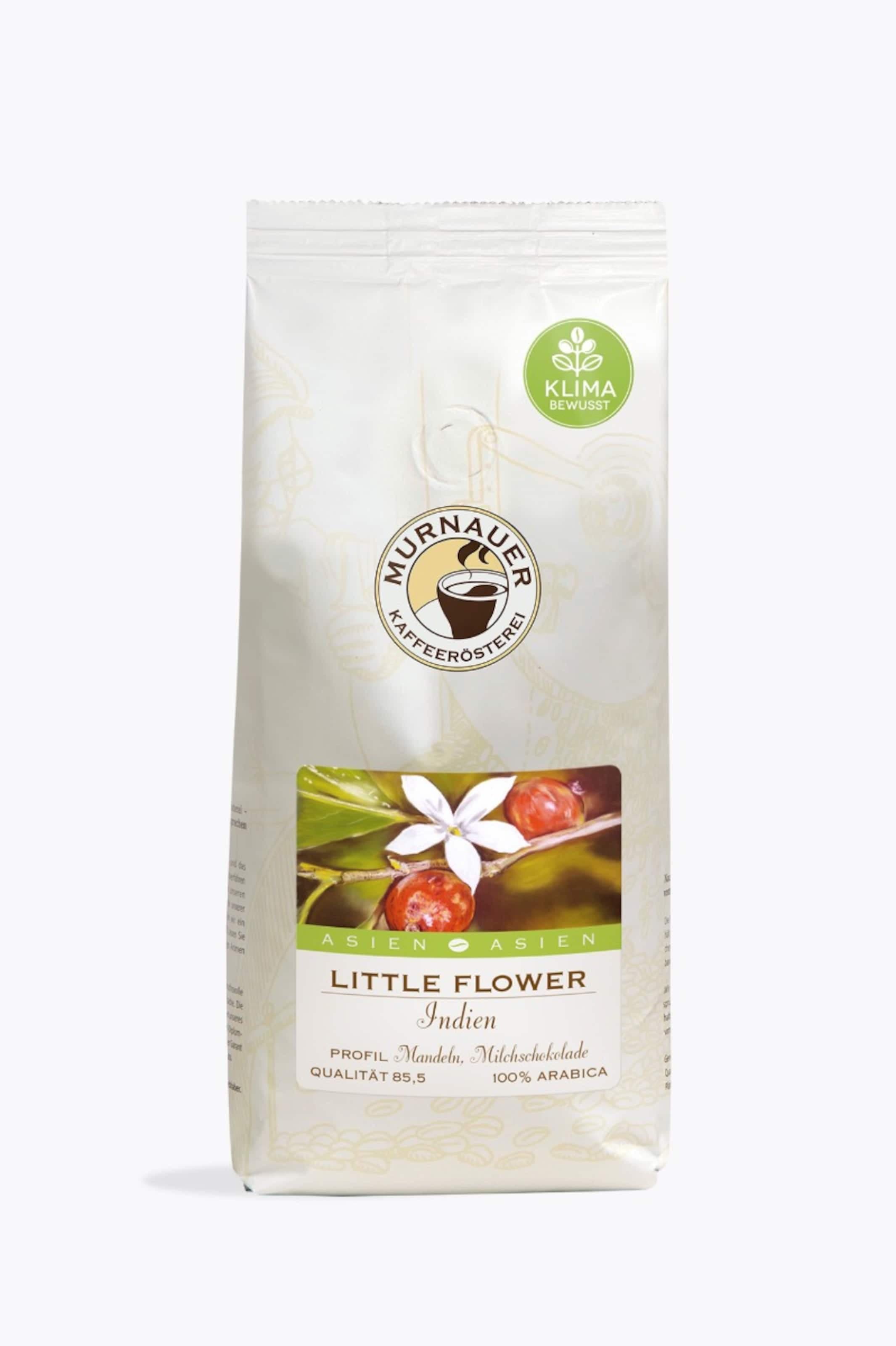 Little Flower India