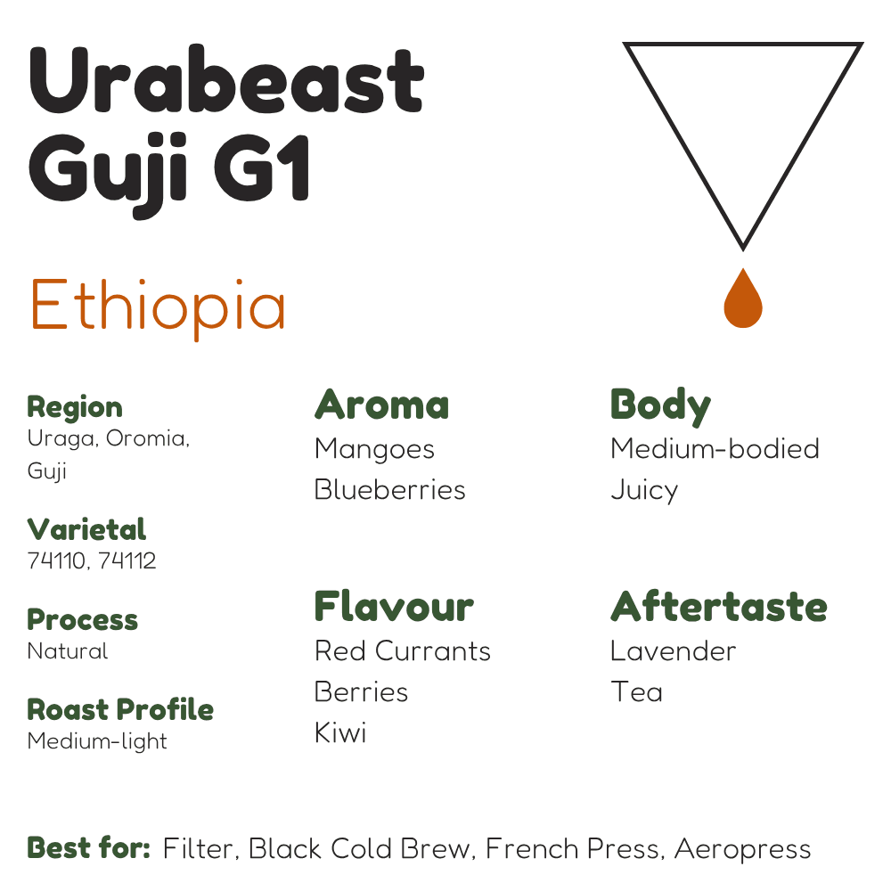 Ethiopia Urabeast Guji G1