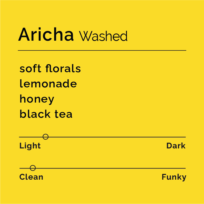 Aricha - Washed