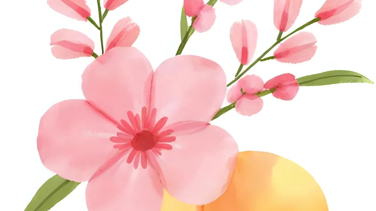 Kolumbien | Santa Monica Pink Bourbon