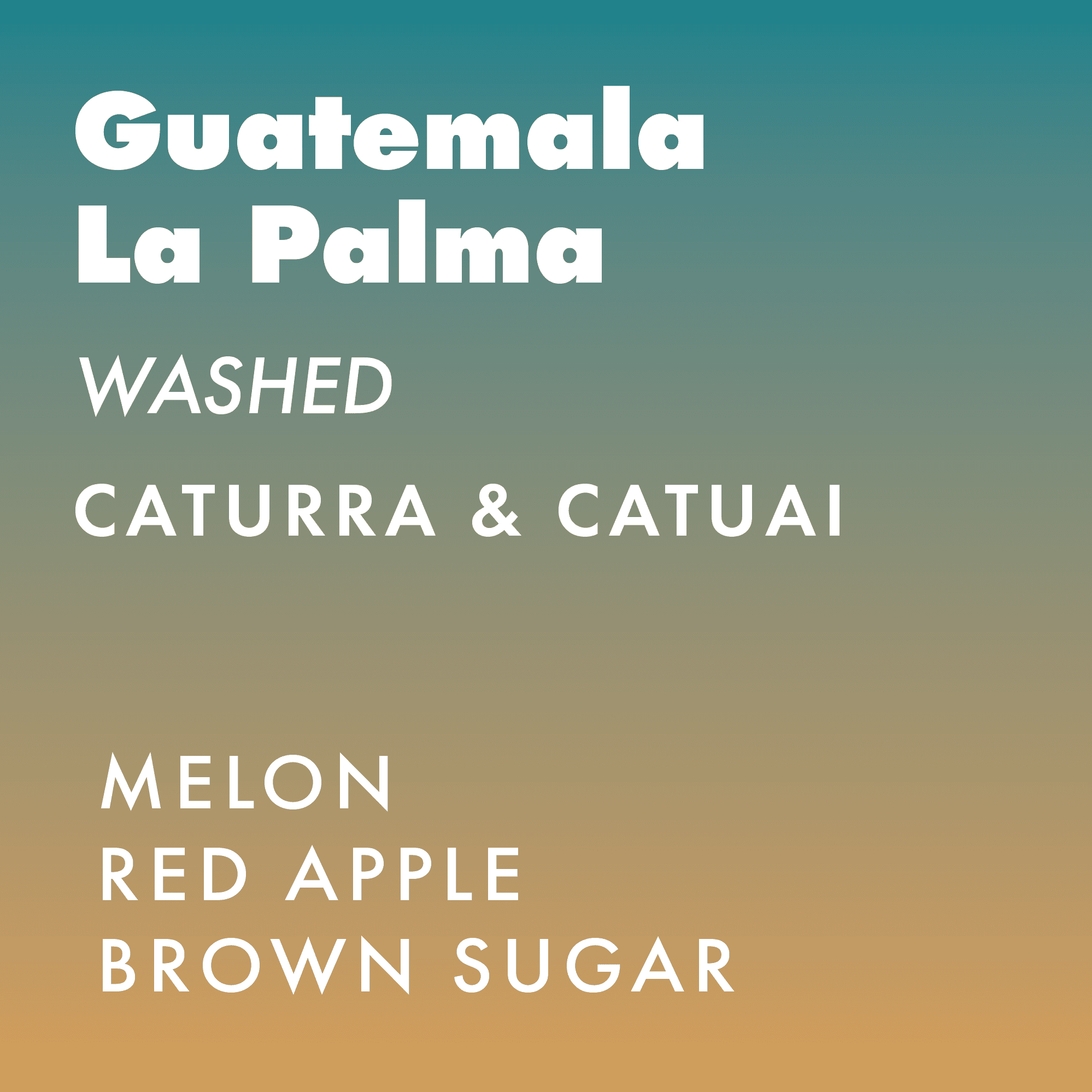 Guatemala La Palma