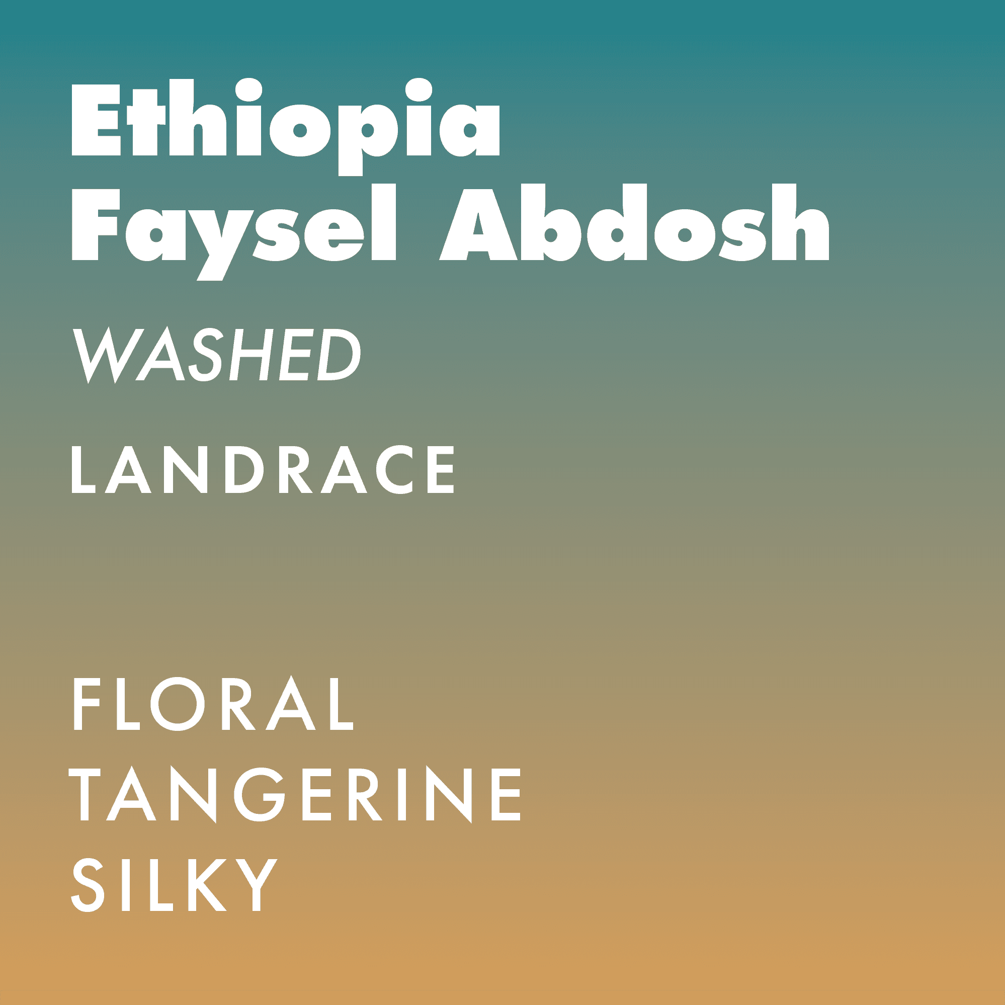 Ethiopia Faysel Abdosh "Signature"