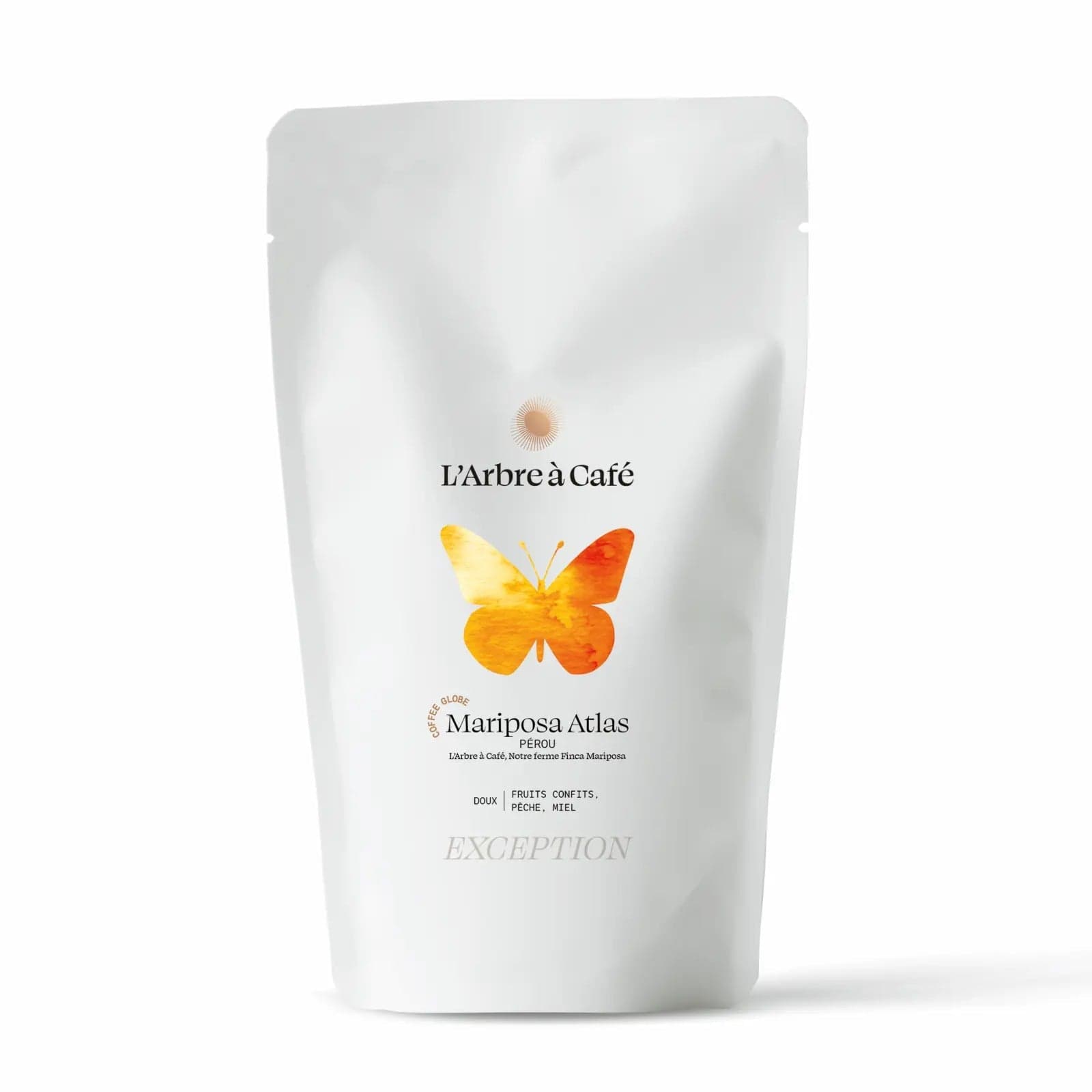 Mariposa Atlas Coffee Globe