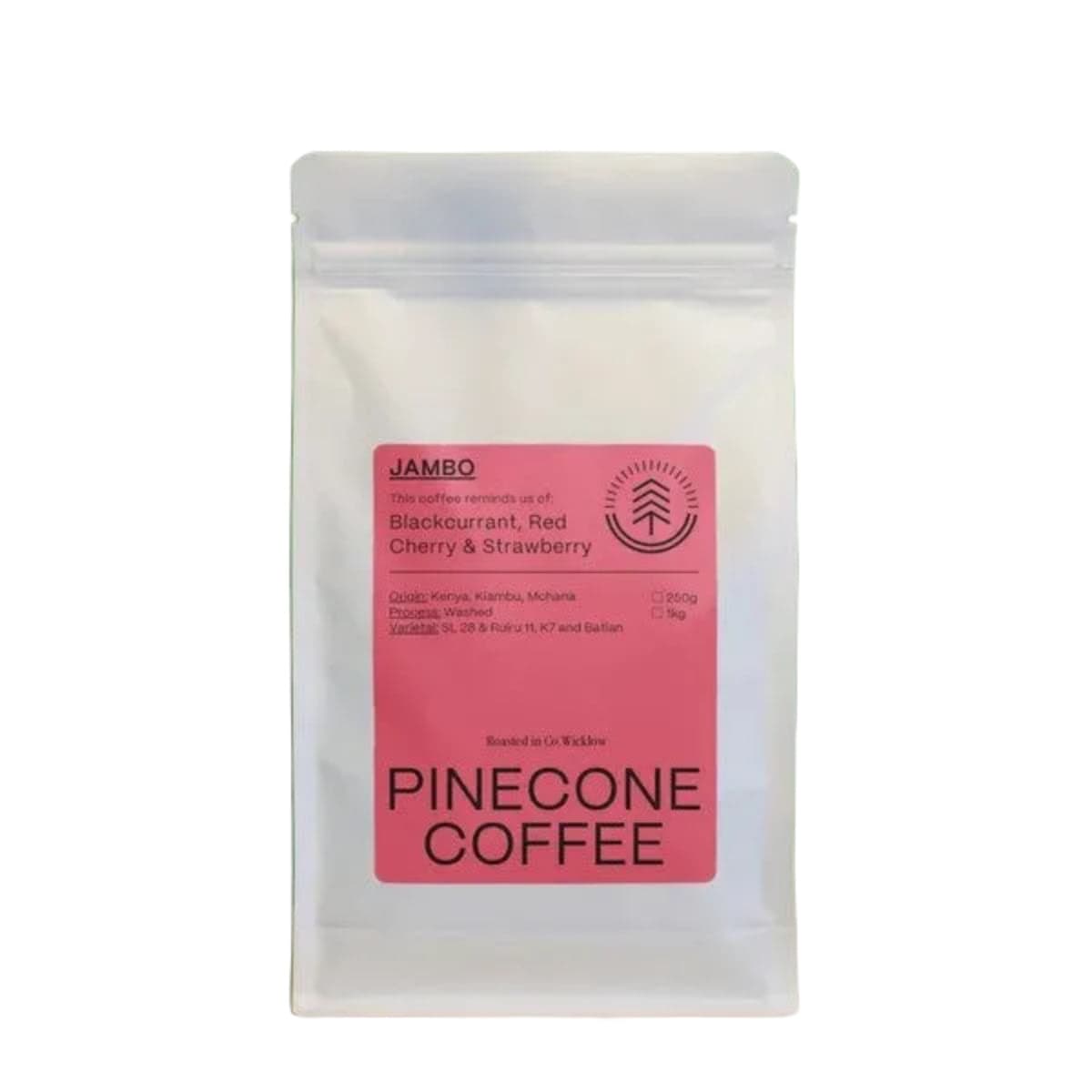 Pinecone, Kenya Jambo Washed