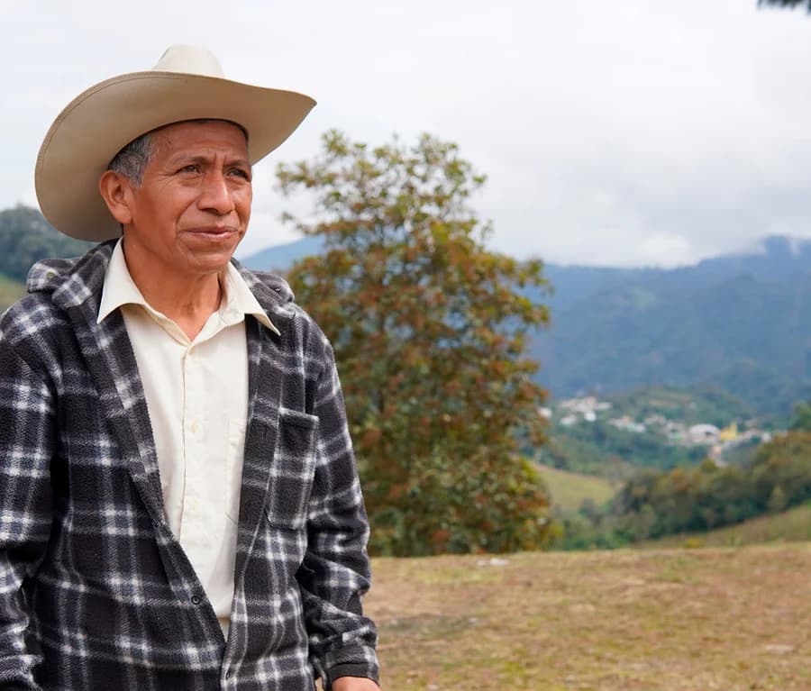 Rarität Chiapas Mexiko