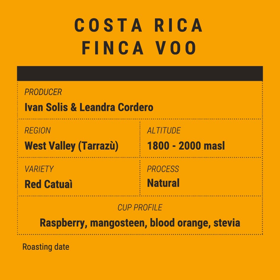 Costa Rica Finca Voo