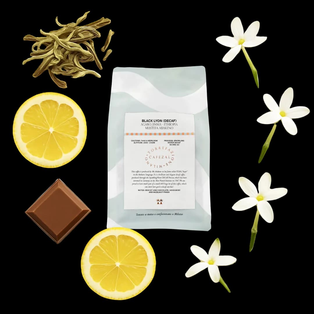 Black Lyon - Ethiopia (decaf)