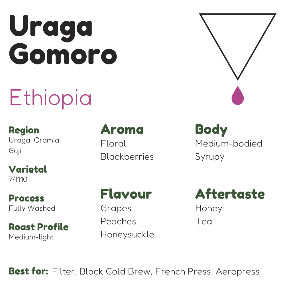 Ethiopia Uraga Gomoro Guji G1